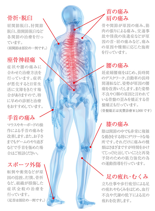 診療内容